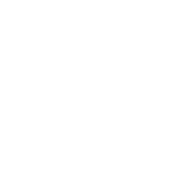 Q-SYS