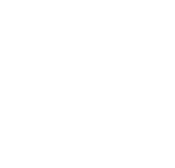 SoundVision