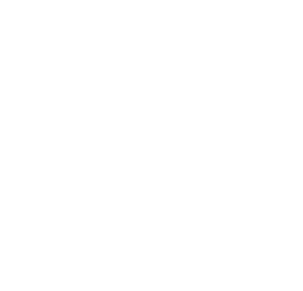 VOID